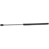 RIDEX 219G0834 Gasveer achterklep