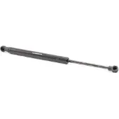 RIDEX 219G0777 Gasveer achterklep