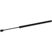 RIDEX 219G0873 Gasveer achterklep