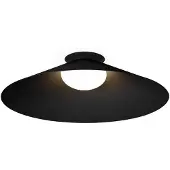 Wever & Ducre Clea Plafondlamp Clea 2.0 | Black Matt | 3000 K