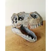 Nemesis Now - Tyrannosaurus Rex Skull Freestanding Beeld/figuur - Grijs