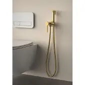 Sapho Iconic inbouw bidetkraan met knijpdouche goud mat