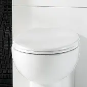 Eastbrook Rhone softclose toiletzitting wit glans