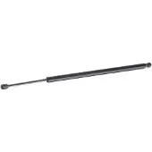 RIDEX 219G1057 Gasveer achterklep
