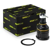 RIDEX 2462S0022P Fuseekogel