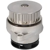 Ltd Edition -030121005N Waterpomp