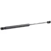 RIDEX 514G0052 Gasveer motorkap
