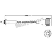 VEGAZ ULS-243 Lambdasonde
