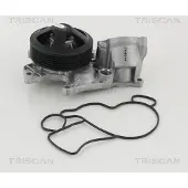 TRISCAN 8600 11040 Waterpomp