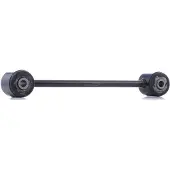 RIDEX 273C1579 Draagarm