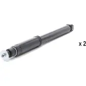 RIDEX 854S20294 Schokdemper