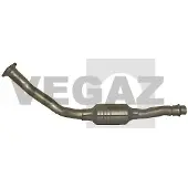 VEGAZ FK-809 Katalysator