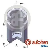 AUTOFREN SEINSA D025695 Zuiger, remklauw