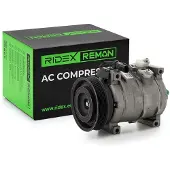RIDEX 447K0252R Aircopomp