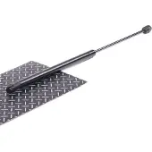 RIDEX 219G0014 Gasveer achterklep