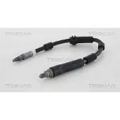 TRISCAN 8150 16318 Remslang