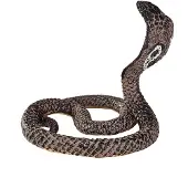 MOJO Wildlife Koningscobra - 387126