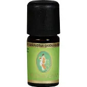 Primavera Etherische oliën Biologische eucalyptus globulus 5 ml