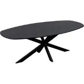 QUVIO Eettafel Sofia – Deens ovaal – 220x110 cm – Stalen kruispoot – FSC-gecertificeerd mangohout – Zwart