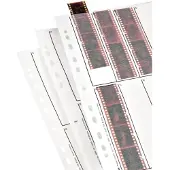 Hama Negative Sleeves, 24x36mm, Glassine Matt 2252