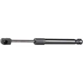 RIDEX 219G0218 Gasveer achterklep