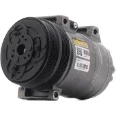 RIDEX 447K0121R Aircopomp