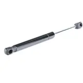 RIDEX 219G0248 Gasveer achterklep