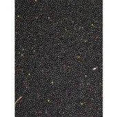 Bird-X Vogelvoer - Koolzaad Zak 0,9 kg