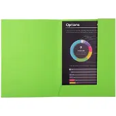 Exacompta 2-Flap map 216013E Groen Karton 24 x 32 cm 250 Stuks