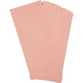 Exacompta 12x Pak van 100 horizontale tabstroken met perforatie 180g - 105x240mm - Roze - 13335B