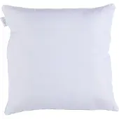 Alpina Pillow 60x60CM (BE/FR)