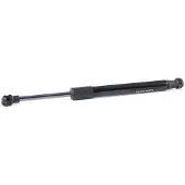 RIDEX 219G0894 Gasveer achterklep