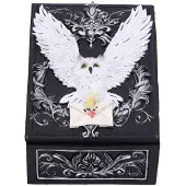 Nemesis Now - Owl Messenger Decoratieve opbergdoos - Multicolours