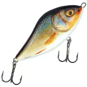 Salmo Slider Sinking Real Roach 10 cm 46 g Wobbler