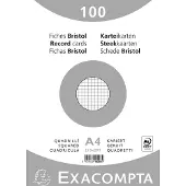 Exacompta 10x Pak 100 steekkaarten bristol in folie - geruit 5x5 niet geperforeerd 210x297mm - Wit - 10206E