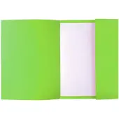 Exacompta 1-Flap map 218013E Groen Karton 24 x 32 cm 250 Stuks