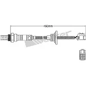 VEGAZ DLS-360 Lambdasonde