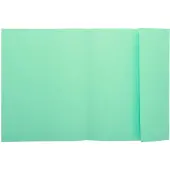 Exacompta 1-Flap map 339004E Lichtgroen Karton 24 x 32 cm 250 Stuks