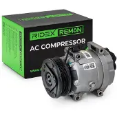 RIDEX 447K0291R Aircopomp