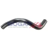 BOGAP C4228146 Radiateurslang