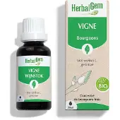 Herbalgem Wijnstok Bio 30 ml Druppels