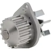 DAYCO DP030 Waterpomp