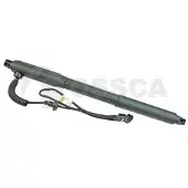 OSSCA 33915 Gasveer achterklep