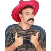 Vegaoo - Rood sombrero hoed voor volwassenen