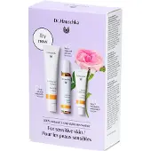 Dr. Hauschka Dr.Hauschka Rose Trial Kit Pakket - 1stuks