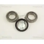 TRISCAN 8530 10250 Wiellagerset