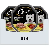 Cesar Hondenvoer - Classic - Kip in Paté - Maaltijdkuipjes 14x150g