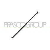 PRASCO OP4209055 Gasveer achterklep