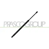 PRASCO VG1019055 Gasveer achterklep