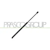 PRASCO OP4169055 Gasveer achterklep